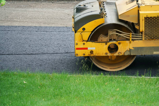 Best Paver Driveway Installation  in Buena Vista, CO